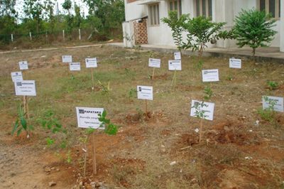 Animal house & herbal garden
